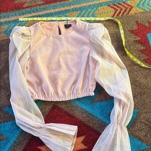 NBD Blush Sheer Sleeve Blouse
